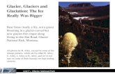 Unit 7 – Glacier National Park Glacier, Glaciers and Glaciation: The Ice Really Was Bigger Bear Grass (really a lily, not a grass) blooming in a glacier-carved.