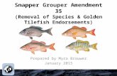 Snapper Grouper Amendment 35 (Removal of Species & Golden Tilefish Endorsements) Prepared by Myra Brouwer January 2015.