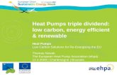 Heat Pumps triple dividend: low carbon, energy efficient & renewable Heat Pumps Low Carbon Solutions for Re-Energising the EU Thomas Nowak The European.