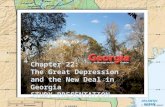 Chapter 22: The Great Depression and the New Deal in Georgia STUDY PRESENTATION © 2010 Clairmont Press 1.