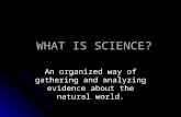 WHAT IS SCIENCE? WHAT IS SCIENCE? An organized way of gathering and analyzing evidence about the natural world.