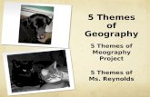 5 Themes of Geography 5 Themes of Meography Project 5 Themes of Ms. Reynolds.