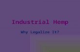 Industrial Hemp Why Legalize It?. Current Status (NORML)