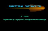INTESTINAL OBSTRUCTION A. VAYDA department of surgery with urology and anesthesiology.