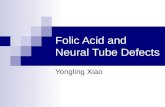 Folic Acid and Neural Tube Defects Yongling Xiao.