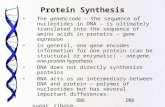 Protein Synthesis The genetic code – the sequence of nucleotides in DNA – is ultimately translated into the sequence of amino acids in proteins – gene.