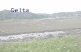 Delta. Where can you find delta? Mouth of river What is a delta? A flat depositional plain formed at the river mouth.