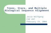 Trees, Stars, and Multiple Biological Sequence Alignment Jesse Wolfgang CSE 497 February 19, 2004.