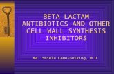 BETA LACTAM ANTIBIOTICS AND OTHER CELL WALL SYNTHESIS INHIBITORS Ma. Shiela Cano-Guiking, M.D.