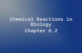 Chemical Reactions in Biology Chapter 6.2. What are chemical reactions? ● Chemical reactions occur when the atoms of a substance are rearranged to form.