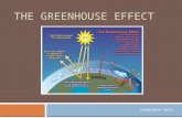 THE GREENHOUSE EFFECT Stephanie Seto. The Carbon Cycle.