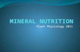 Plant Physiology 2011. Macronutrients Nitrogen Source: The chief source is the soil. Plants absorbs it either in the form of nitrate or ammoniacal salts.