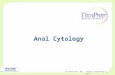 Hologic Proprietary © 2012ADS-00735 Rev. 001 Anal Cytology.