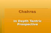 Chakras In Depth Tantric Prospective. Chakras Chakras The Seven Rights 1.The right to be here 2.The right to feel 3.The right to act 4.The right to love.