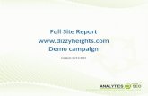 Full Site Report  Demo campaign Created: 28/11/2013.
