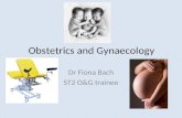 Obstetrics and Gynaecology Dr Fiona Bach ST2 O&G trainee.