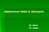 Abdominal Wall & Stomach Dr. Nimir Dr. Safaa Objectives  the abdominal wall  Define the abdominal wall.  the layers  Enlist the layers..   Give.
