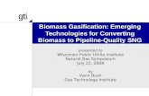 Biomass Gasification: Emerging Technologies for Converting Biomass to Pipeline-Quality SNG presented to Wisconsin Public Utility Institute Natural Gas.