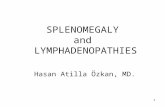 SPLENOMEGALY and LYMPHADENOPATHIES Hasan Atilla Özkan, MD. 1.
