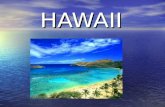 HAWAII. Hawaii Hawaii is the newest state to become part of the US Hawaii is the newest state to become part of the US.