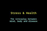 Stress & Health The interplay between mind, body and disease.