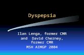 Dyspepsia Ilan Lenga, former CMR and David Cherney, former CMR MSH AIMGP 2004.