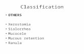 Classification OTHERS Xerostomia Sialorrhea Mucocele Mucous retention Ranula.