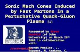 Sonic Mach Cones Induced by Fast Partons in a Perturbative Quark-Gluon Plasma [1] Presented by Bryon Neufeld (of Duke University) on March 20 th 2008 in.