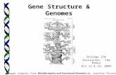 Biology 224 Instructor: Tom Peavy Oct 12 & 14, 2009 Gene Structure & Genomes.