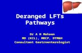 Deranged LFTs Pathways A H Mohsen Dr A H Mohsen MD (KCL), MRCP, DTM&H Consultant Gastroenterologist.