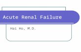 Acute Renal Failure Hai Ho, M.D.. What is acute renal failure? Impairment of kidney function leading to retention of substances normally excreted by the.