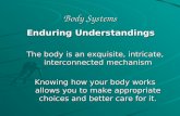 Body Systems Enduring Understandings The body is an exquisite, intricate, interconnected mechanism Knowing how your body works allows you to make appropriate.