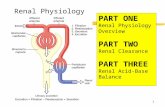 1 Renal Physiology PART ONE Renal Physiology Overview PART TWO Renal Clearance PART THREE Renal Acid-Base Balance.