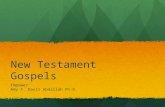 New Testament Gospels Empower Amy F. Davis Abdallah Ph.D.