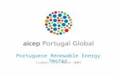 Lisbon, 17th March 2009 Portuguese Renewable Energy Sector.