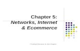 Chapter 5: Networks, Internet & Ecommerce IT Auditing & Assurance, 2e, Hall & Singleton.