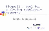 Bioquali : tool for analyzing regulatory networks Carito Guziolowski.
