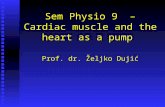Sem Physio 9 – Cardiac muscle and the heart as a pump Prof. dr. Željko Dujić.
