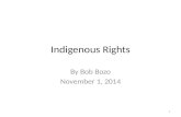 Indigenous Rights By Bob Bozo November 1, 2014 1.