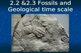2.2 &2.3 Fossils and Geological time scale. Think About It... Can you name any dinosaurs? Do you know what they looked like or how they moved? Scientists.