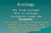 Ecology Why study ecology? What is ecology? Ecologists study the biosphere. The study of the interactions among living things, and between living things.
