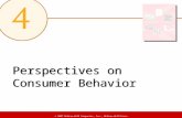 Perspectives on Consumer Behavior © 2007 McGraw-Hill Companies, Inc., McGraw-Hill/Irwin.