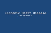 Ischemic Heart Disease CVS lecture 3. Ischemic Heart Disease A group of related syndromes resulting from myocardial ischemia.