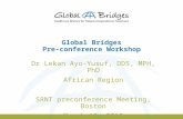 1 Global Bridges Pre-conference Workshop Dr Lekan Ayo-Yusuf, DDS, MPH, PhD African Region SRNT preconference Meeting, Boston March 13, 2013.