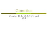Genetics Chapter 10.2, 10.3, 11.1, and 11.2. Do Now- True for False if false, correct the statement.  1. Certain acquired characteristics, such as mechanical.