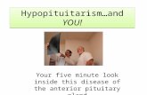 Hypopituitarism …and YOU! Your five minute look inside this disease of the anterior pituitary gland.