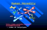 Human Heredity  YV213xu0 YV213xu0 – video on karyotypes.