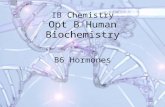IB Chemistry Opt B Human Biochemistry B6 Hormones.