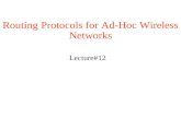 Routing Protocols for Ad-Hoc Wireless Networks Lecture#12.