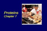 Proteins Chapter 7. What Are Proteins? Complex organic molecules – Composed of carbon, hydrogen, and oxygen – Proteins also contain nitrogen The human.